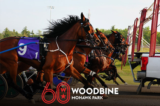 Woodbine Mohawk Park Provides Conditions for Pop-Up Series